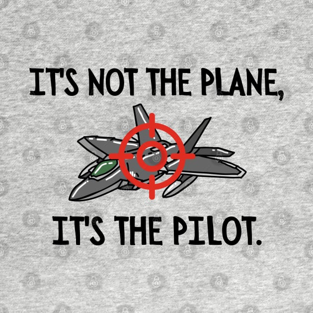 It's not the plane, it's the pilot. by mksjr